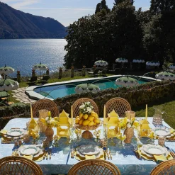 Blue Coral Dinner & Starter Plates (Set Of 8)|Mrs. Alice Outlet