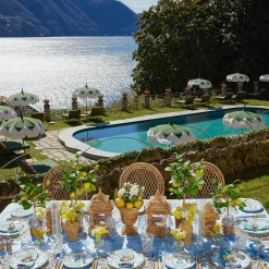 Blue Melograno Dinner Plates (Set Of 4)|Mrs. Alice Sale