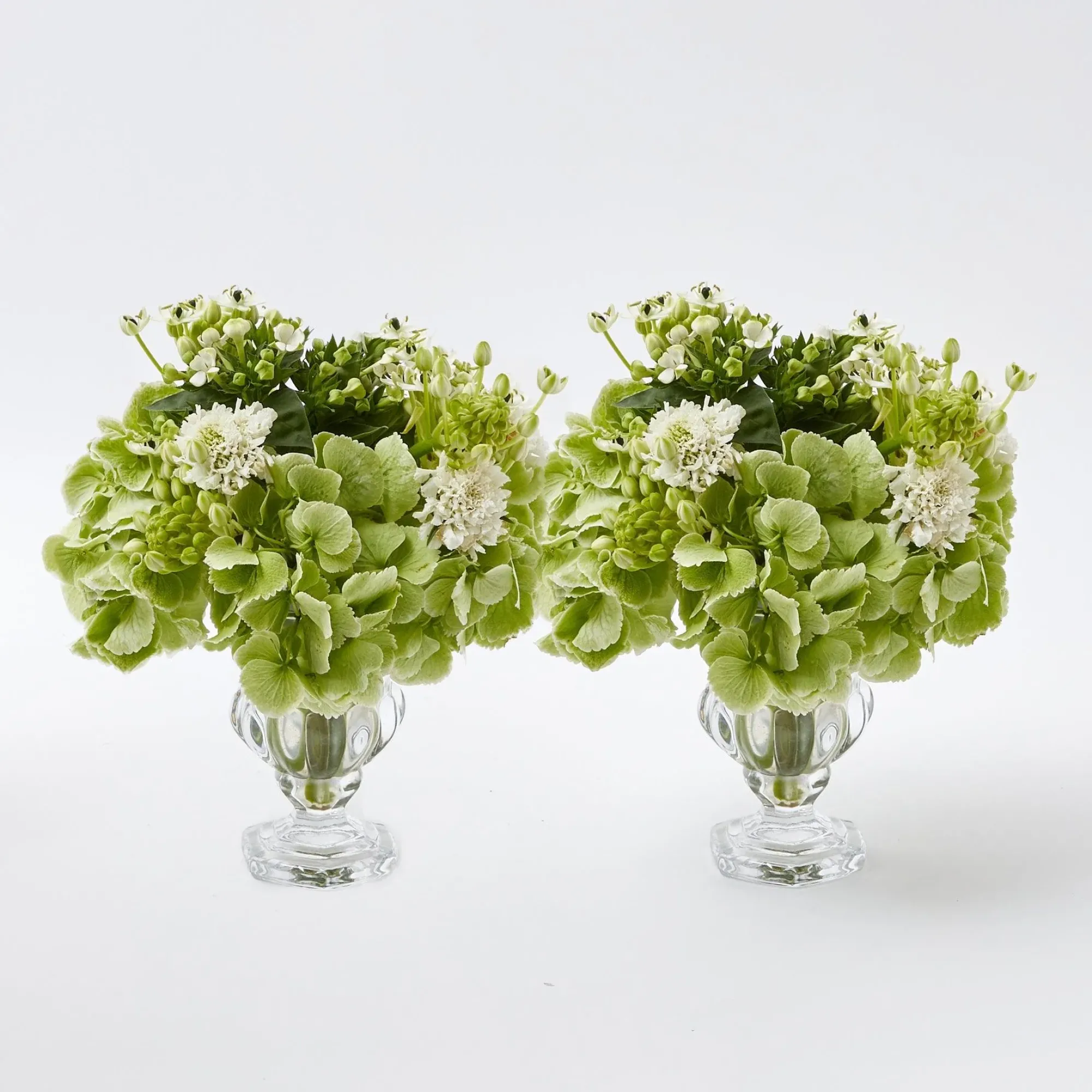 Delilah Vase (Pair)|Mrs. Alice Online