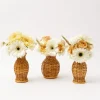 Honey Rattan Vase (Set Of 3)|Mrs. Alice Sale