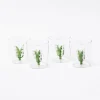 Lily Of The Valley Glasses (Set Of 4)|Mrs. Alice Hot