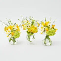 Nancy Bud Vase (Set Of 3)|Mrs. Alice Clearance