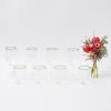 Olive Rim Swirl Glassware Set|Mrs. Alice Online
