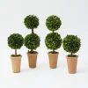 Potted Boxwood Decoration Set|Mrs. Alice