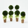 Potted Boxwood With Green Bow Decoration Set|Mrs. Alice Outlet