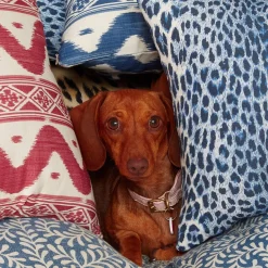 Raspberry Pink Ikat Stripe Fabric|Mrs. Alice Sale