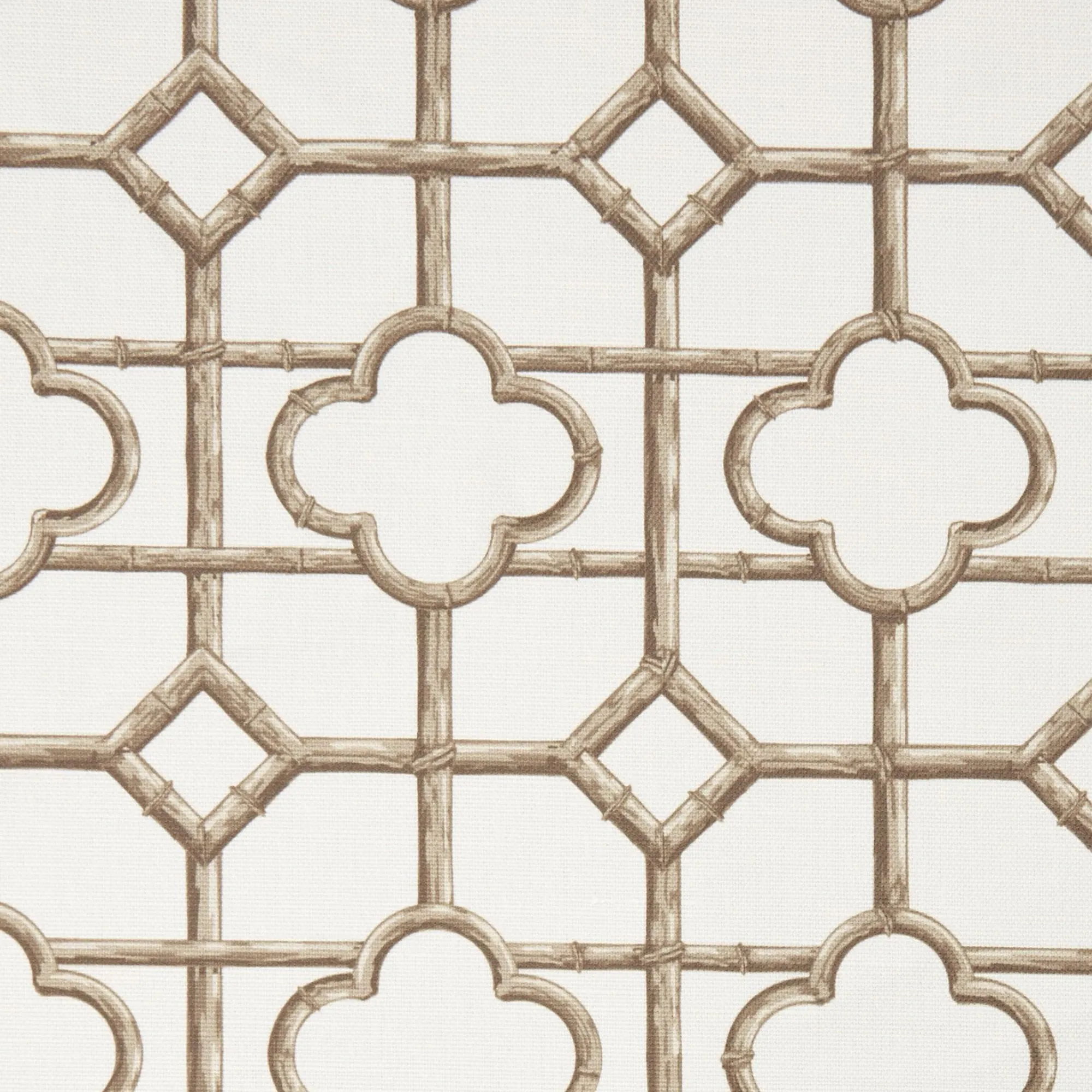 Shaded Bamboo Fabric|Mrs. Alice Best