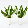Silver Mint Julep Cups (Pair)|Mrs. Alice Online
